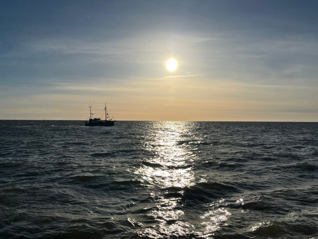 Wilder Ritt nach&nbsp;Borkum