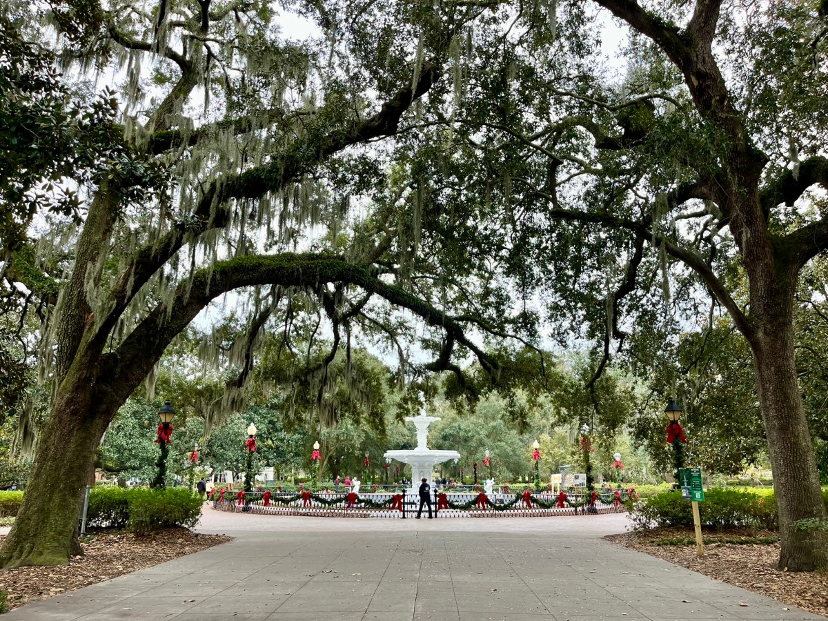 Elektrisiert in Savannah