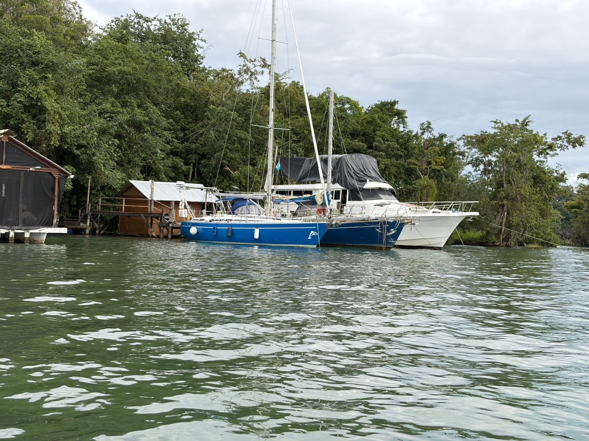 Auryn im Dschungel bei Captain&nbsp;John