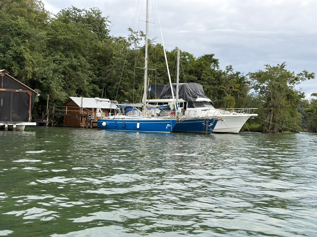 Auryn im Dschungel bei Captain&nbsp;John